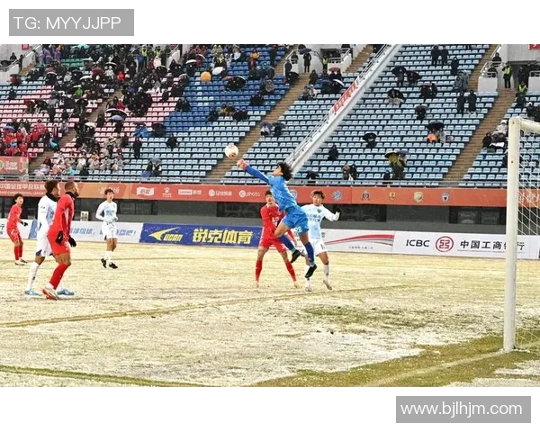 足球污:揭示赛场背后的黑暗与腐败现象,呼唤公平与正义的重返